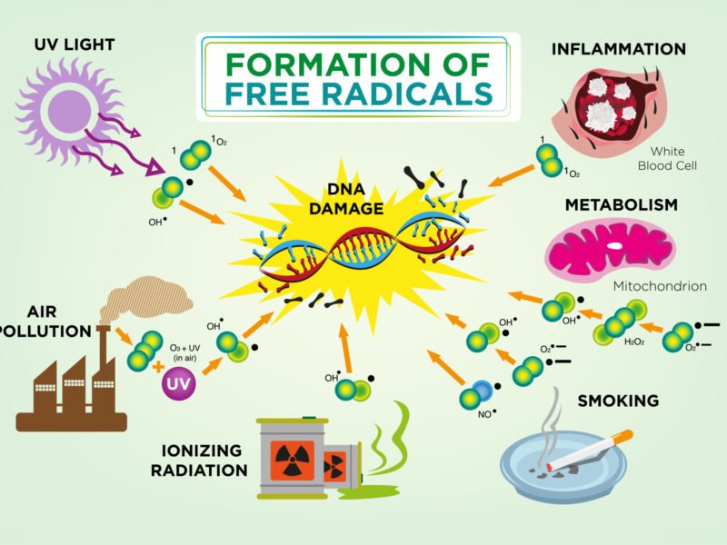 Diagram showing the genetics of cancer, formation of free radicals from cancer-causing agents like tobacco smoke and UV light, causing DNA damage