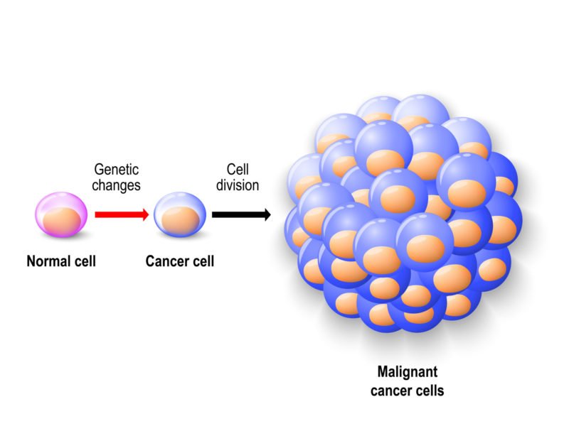 diagram showing the genetics of cancer, normal human cell undergoing genetic changes, progression from cancer cell to malignant tumor