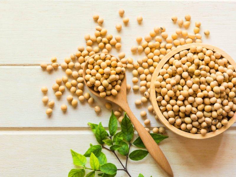 photo of soybeans which contain Genistein, a polyphenol compound linked to a decreased risk of prostate and breast cancer development