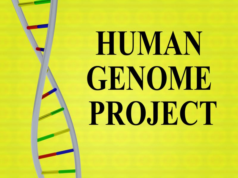 3D illustration of HUMAN GENOME PROJECT-basis of genetic testing-with DNA double helix, isolated on colored background.